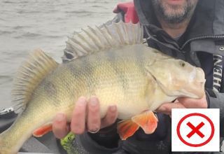 WhatsApp Image 2025-09-13 at 13.16.32.jpg