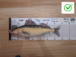 WhatsApp Image 2025-09-13 at 12.18.59.jpg (1)